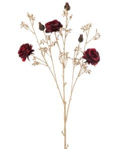 Rose Bush 3Flow+Buds Pl Red/Go