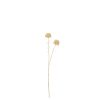 Marigold Ball Spray Art Crm Wh