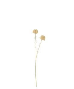 Marigold Ball Spray Art Crm Wh
