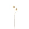 Marigold Long Spray Art Crm Wh
