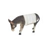 Donkey