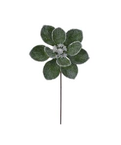 23 Green Magnolia Stem