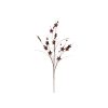 33" Mocha Star/Ball Glitr Spray