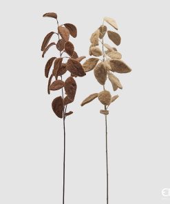 Eucalyptus Furry Branch 2 Assorted