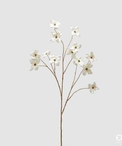 Cornus Ramo