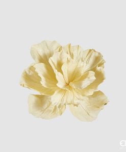 Peony Hanging Branch Light Yellow