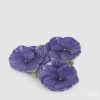 Decorative Plate Decorative Plate