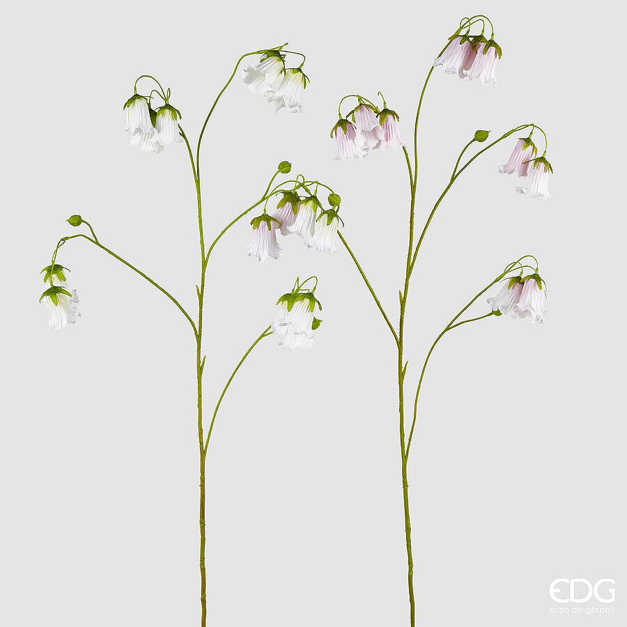 I134663 Campanula Branch Assortment Of 2