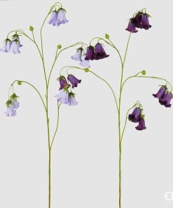 Campanula Branch Assortment Of 3