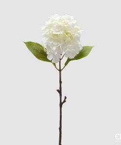 Hydrangea Branch With Leaves