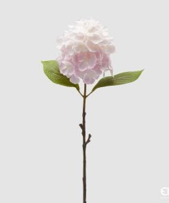 Hydrangea Branch With Leaves