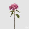 Ortensia Nobile Newnew Ramo Branch Ortensia Nobile Newnew Ramo Branch