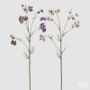 Cosmos Mini Branch With Leaves Assortment Of 2 Cosmos Mini Branch With Leaves Assortment Of 2