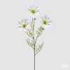 Cosmos Branch With Leaves White Cosmos Branch With Leaves White