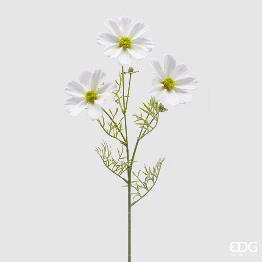 I134695 Cosmos Branch With Leaves White