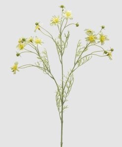 Chamomile Branch With Leaves Yellow