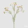 Chamomile Branch With Leaves Pink