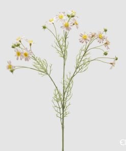 Chamomile Branch With Leaves Pink