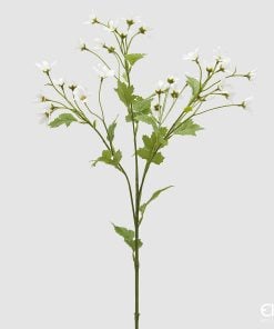 Margherita Ramo White