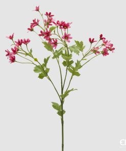 Margherita Ramo Fucshia