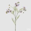 Cosmos Branch With Leaves Lavender