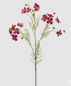 Cosmos Branch With Leaves Fucshia