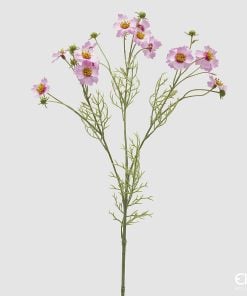 Cosmos Branch With Leaves Pink