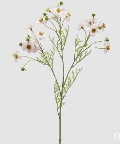 Cosmos Branch With Leaves Pale Pink