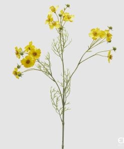 Cosmos Branch With Leaves Yellow