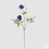 Anemone Branch Multicolor