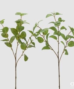 Mint Branch Assortment Of 2