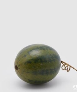 Anguria