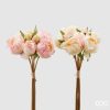 Peony Olis Assortment Of 2 Peony Olis Assortment Of 2