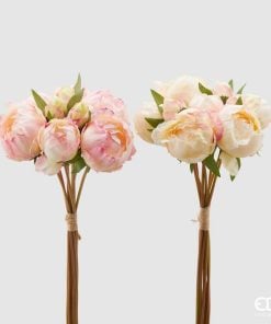 Peony Olis Assortment Of 2