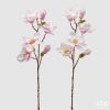 Magnolia Olis Ramo Brach Assortment Of 2