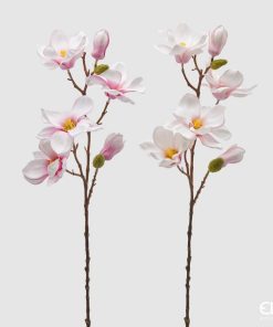 Magnolia Olis Ramo Brach Assortment Of 2