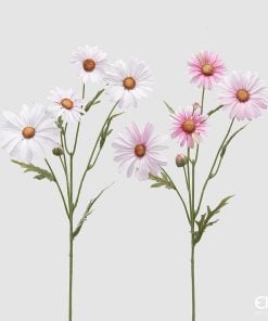 Margherita Ramo Pink Assortment Of 2