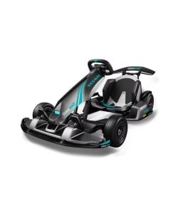 Segway GoKart Pro 2