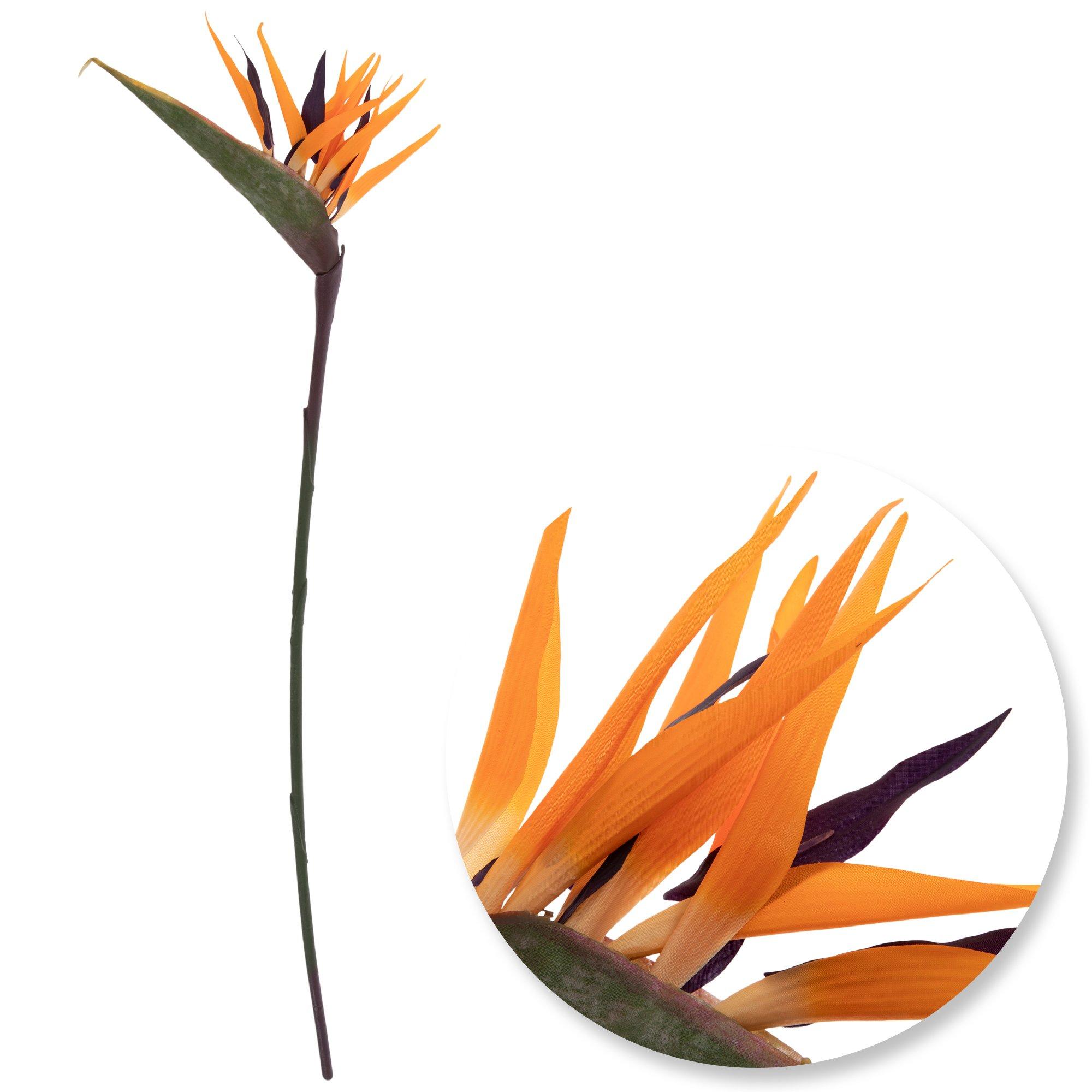 I129618 Bird Of Paradise Stem H83