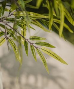 Bamboo With Vase H.240 cm