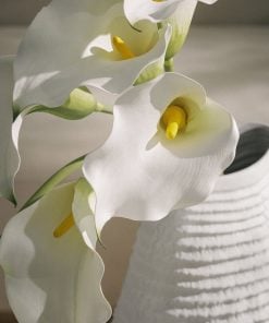 Deluxe Vase Oval Layers