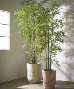 Bamboo With Vase