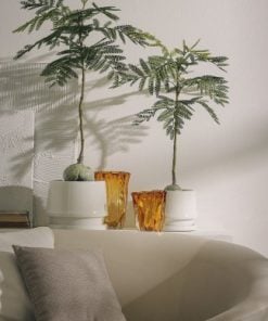 Jacaranda Bulb With Vase