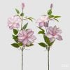 Clematis Branch With Bud Assortment Of 2 Clematis Branch With Bud Assortment Of 2