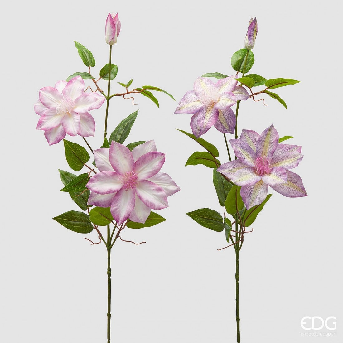 I134679 Clematis Branch With Bud Assortment Of 2