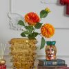 Vase Points