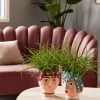 Iceland Head Vase Iceland Head Vase