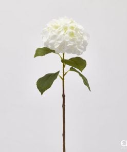 Ortensia Noble Hydrangea Branch