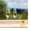 Champagne Flute Glass