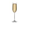Champagne Glass